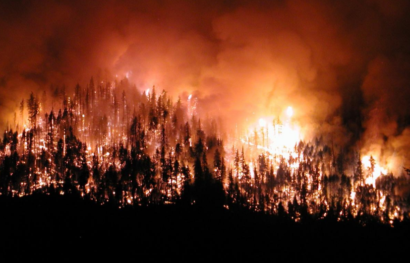 Orman Yangınlarının Nedenleri Nelerdir