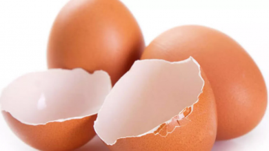 Yumurta Kabuğu Maskesi Nedir, Nasıl Yapılır1