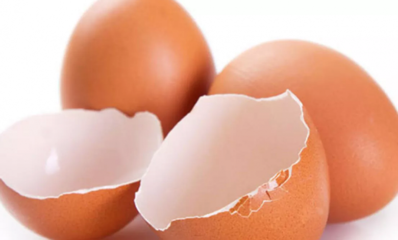 Yumurta Kabuğu Maskesi Nedir, Nasıl Yapılır1