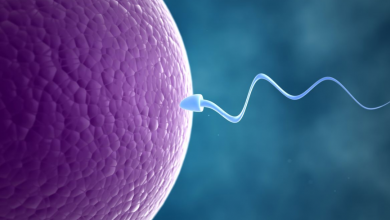 İnfertilite (Kısırlık) Tedavisi Sırasında Neler Yapılır1