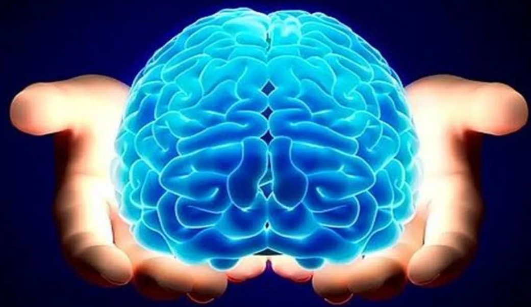 Dopaminin Beyin Üzerindeki Etkileri Nelerdir