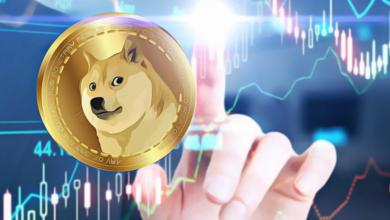 Akita Coin Nedir, Hakkında Yapılan Yorumlar Nelerdir