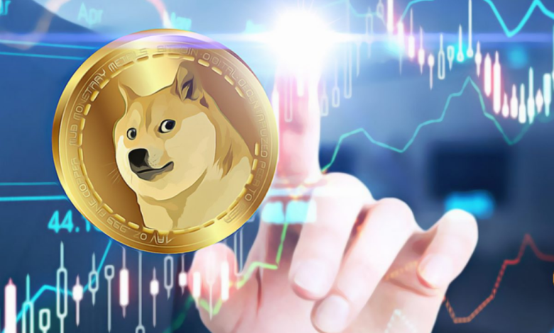 Akita Coin Nedir, Hakkında Yapılan Yorumlar Nelerdir