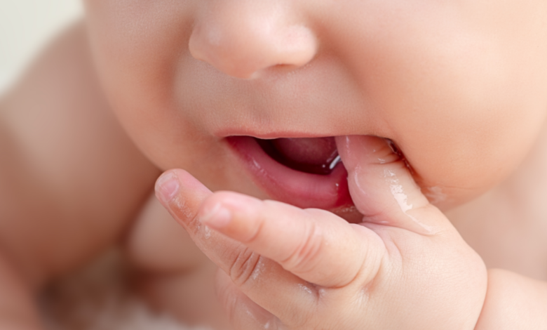 Bebeklerde Diş Çıkarma Küçük Yavruların Büyük Macerası1